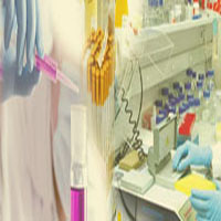 Instituto de Investigación y Desarrollo de Procesos Químicos